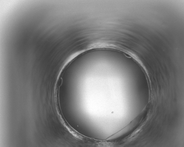 X0000059041053200510211929