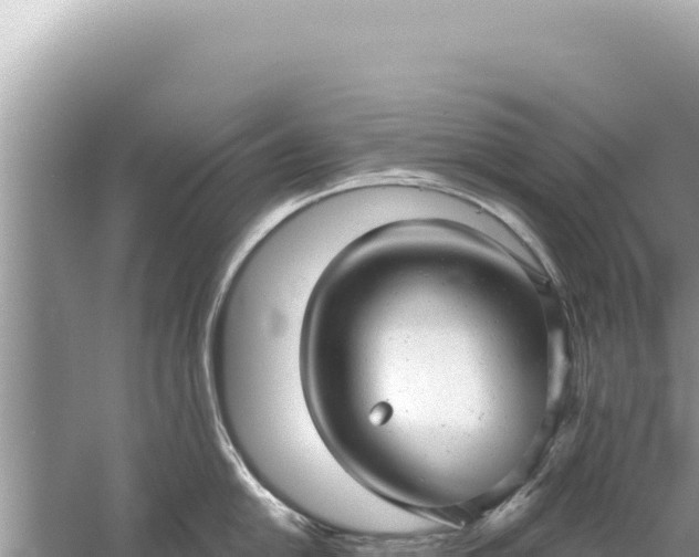 X0000059041054200510211929