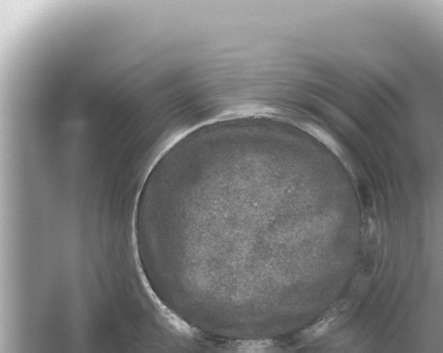 X0000059041055200510211929