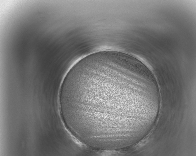 X0000059041056200510211929