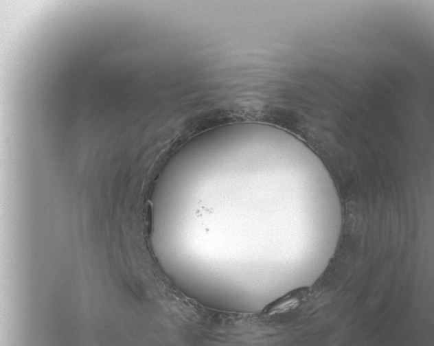 X0000059041057200510211928