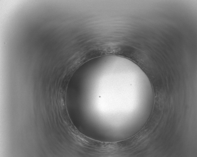 X0000059041058200510211928