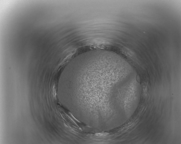 X0000059041060200510211928