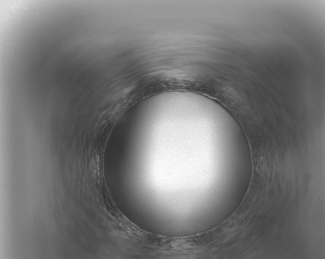 X0000059041061200510211928