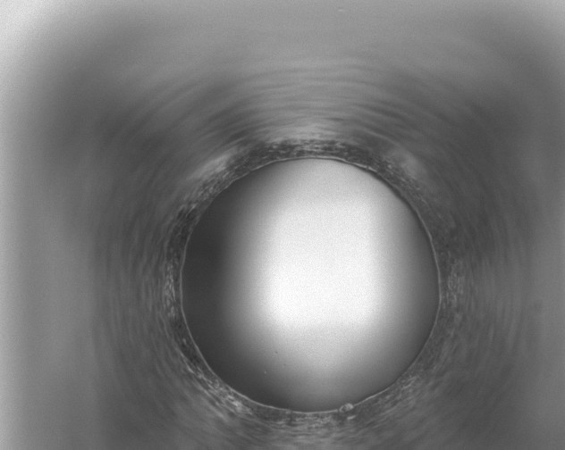 X0000059041062200510211928