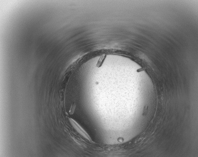 X0000059041064200510211928