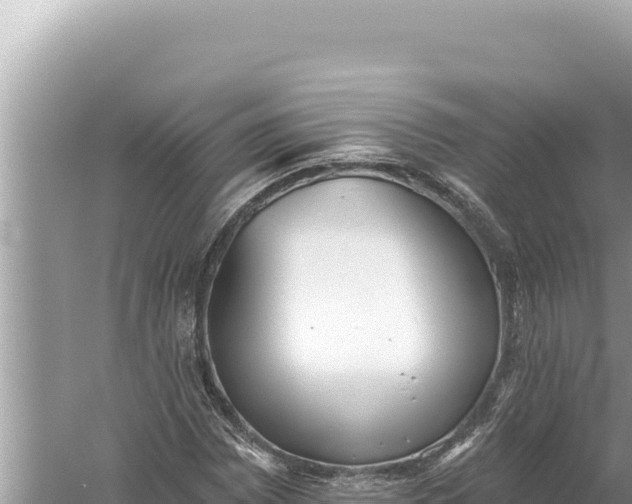 X0000059041065200510211928