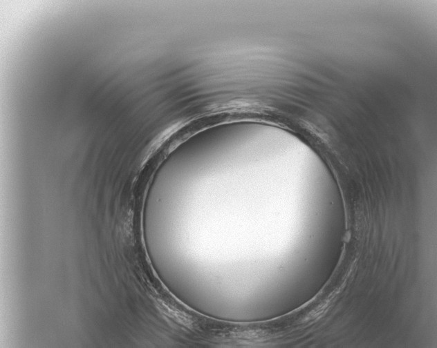 X0000059041066200510211928