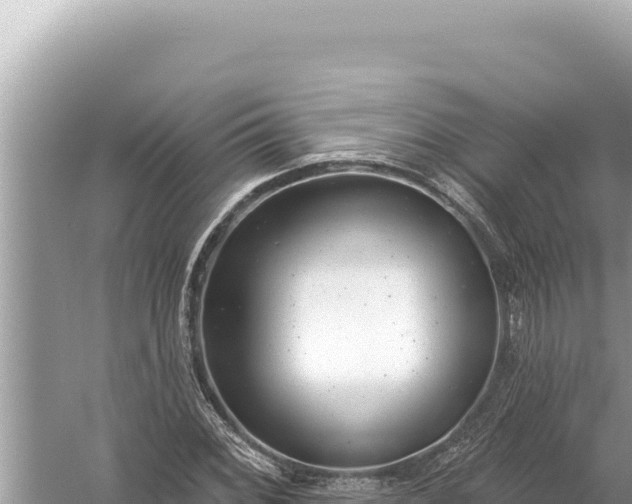 X0000059041068200510211928