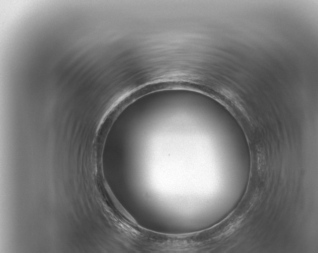 X0000059041069200510211928