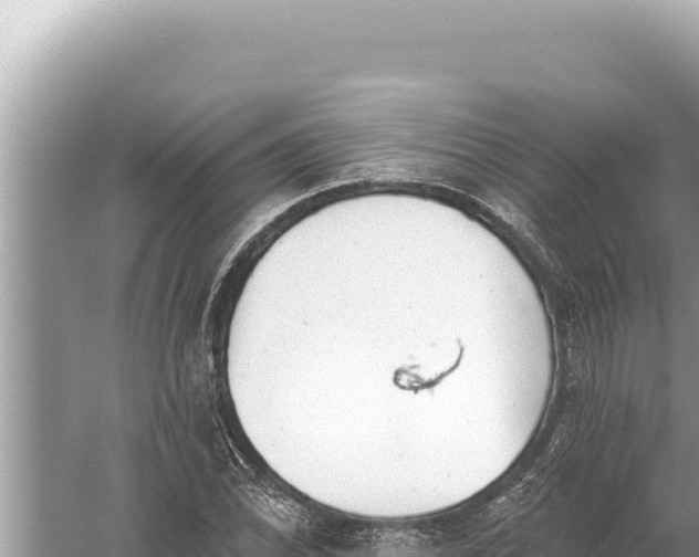 X0000059041070200510211928