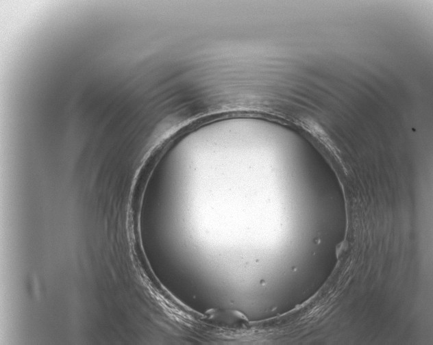 X0000059041072200510211928