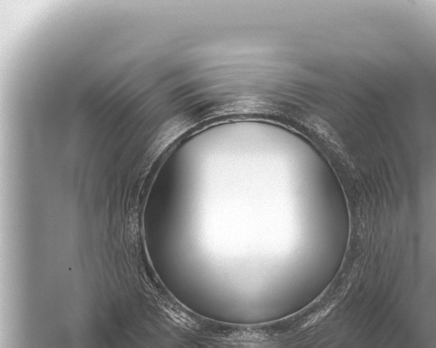 X0000059041073200510211928