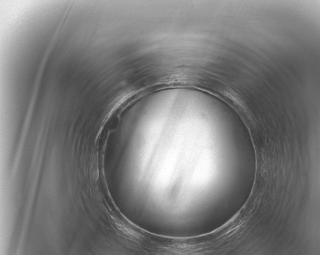 X0000059041075200510211928