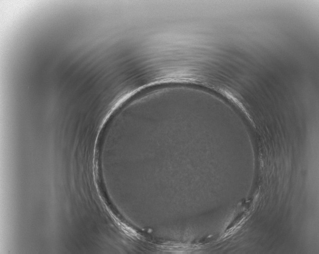 X0000059041077200510211928