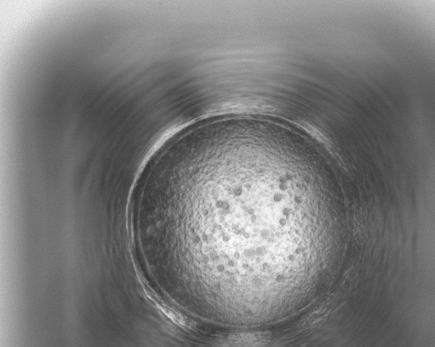 X0000059041078200510211928