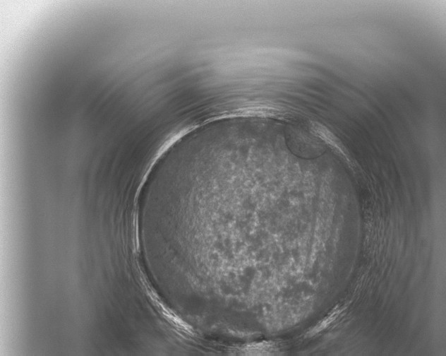 X0000059041079200510211928