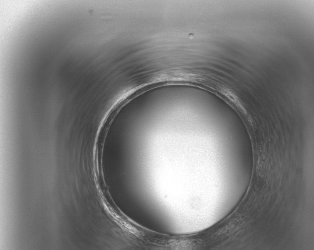 X0000059041080200510211928