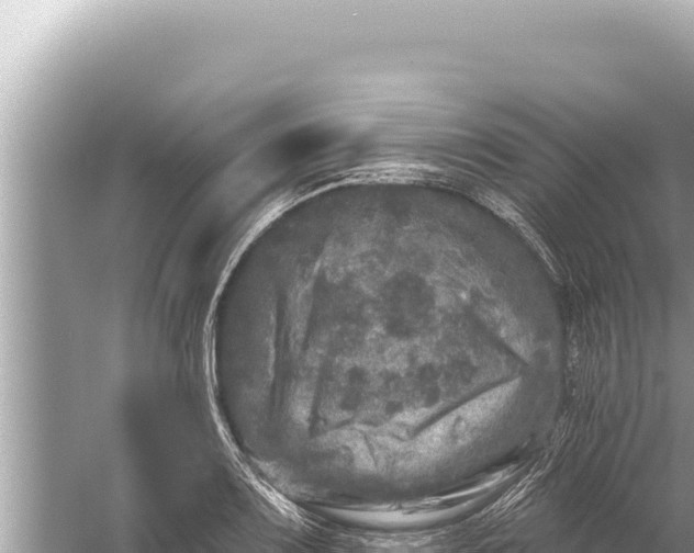 X0000059041083200510211928