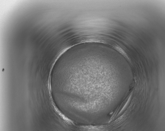 X0000059041084200510211928