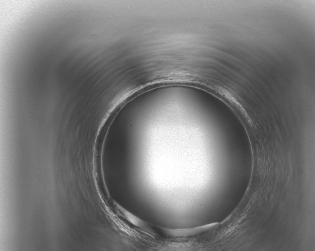 X0000059041085200510211927