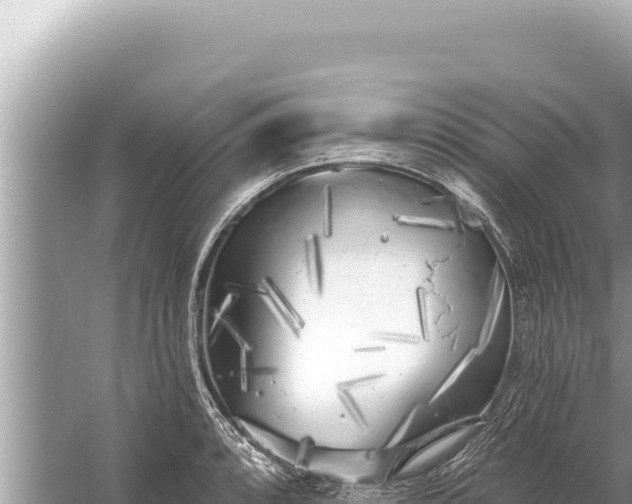 X0000059041088200510211927