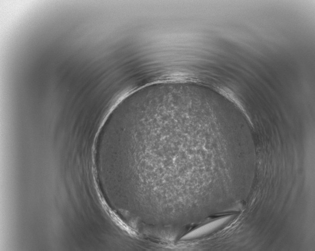 X0000059041091200510211927