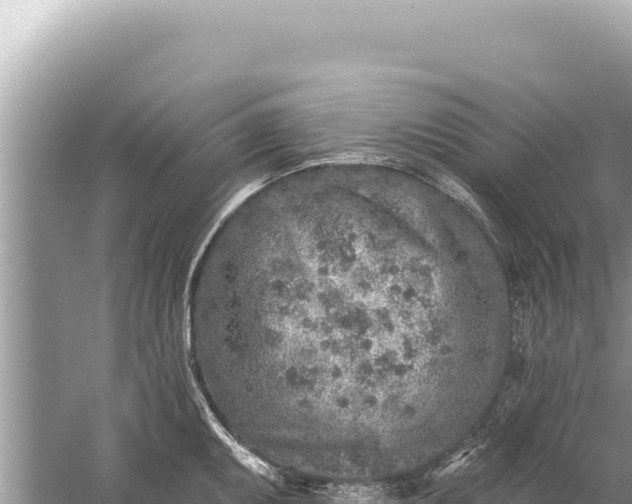 X0000059041095200510211927