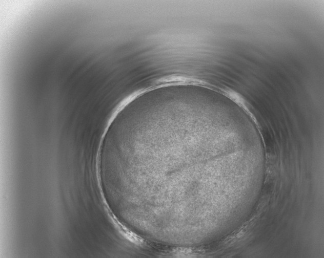 X0000059041098200510211927