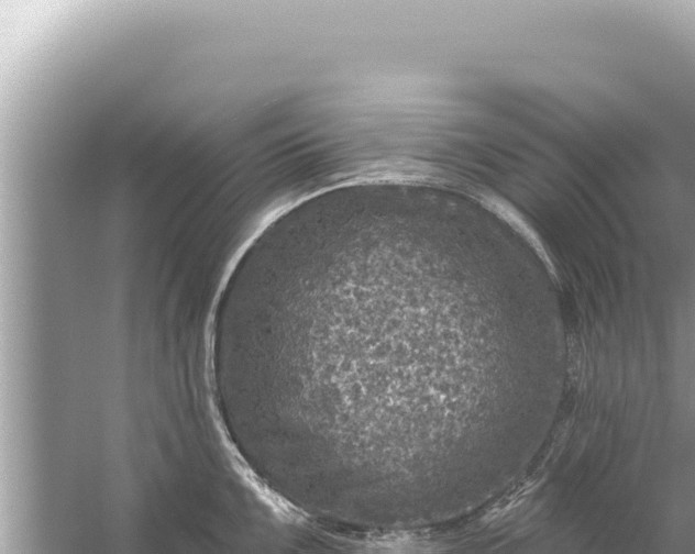 X0000059041099200510211927