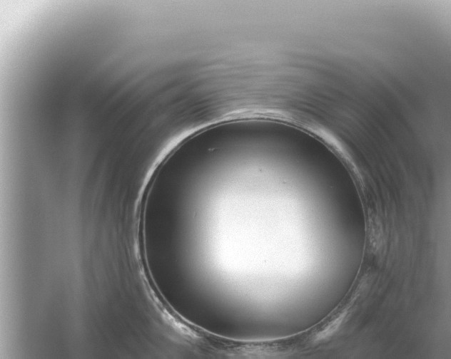 X0000059041102200510211927