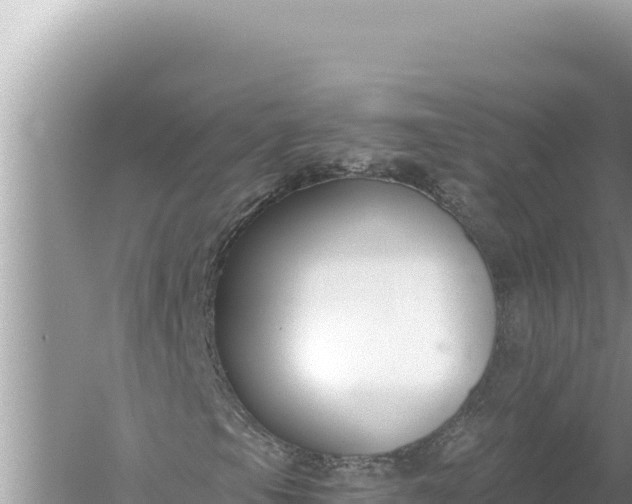 X0000059041105200510211926