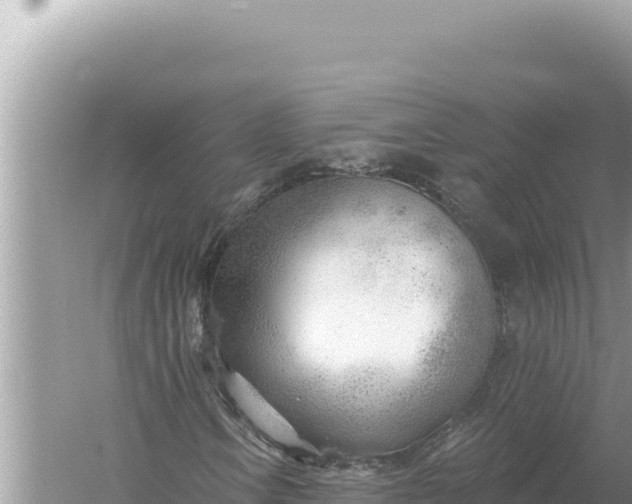 X0000059041106200510211926