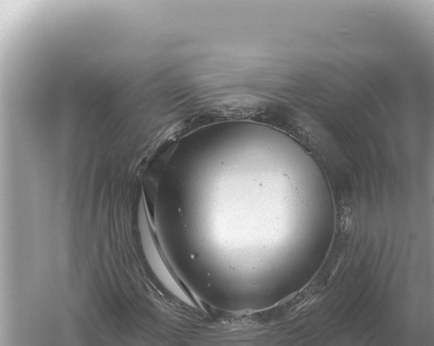 X0000059041108200510211926