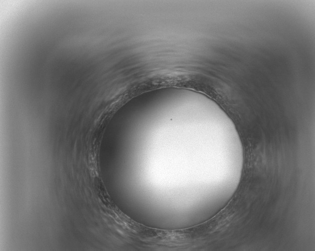 X0000059041109200510211926