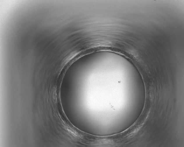 X0000059041113200510211926