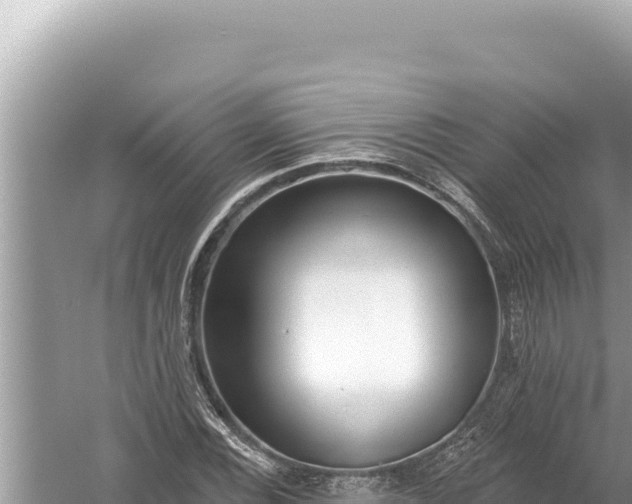 X0000059041116200510211927