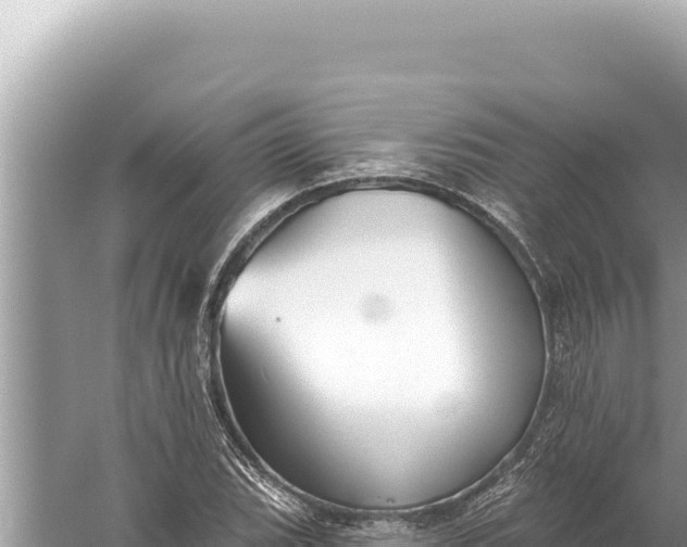 X0000059041119200510211927