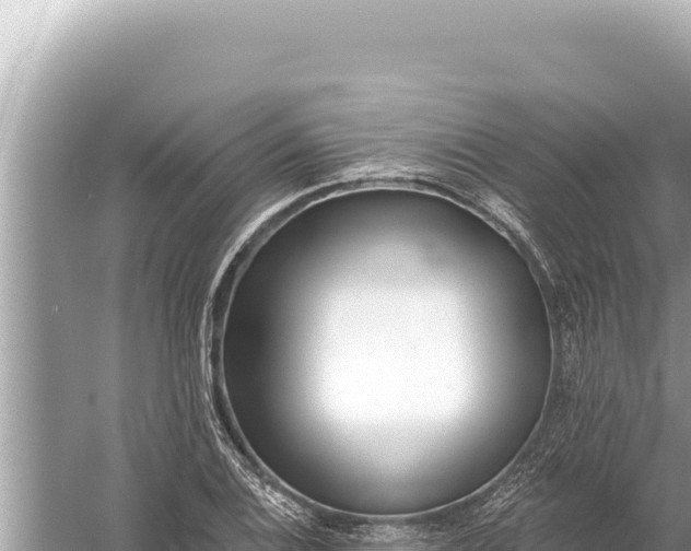 X0000059041124200510211927