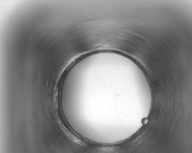 X0000059041126200510211927