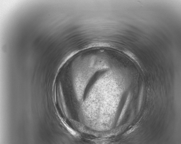 X0000059041127200510211927