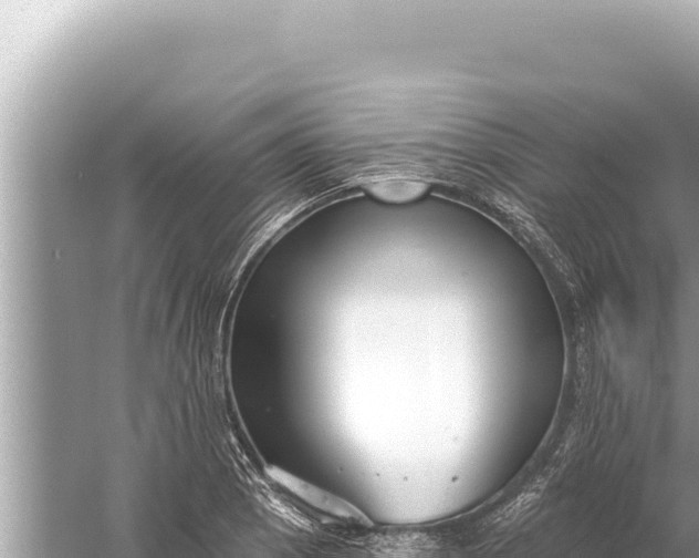 X0000059041129200510211927