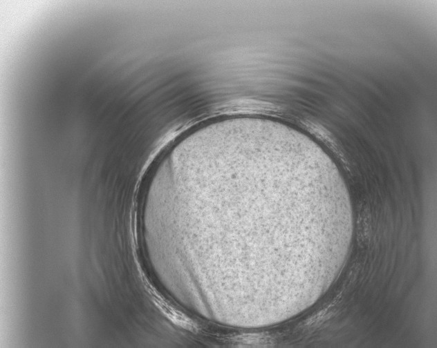 X0000059041130200510211927