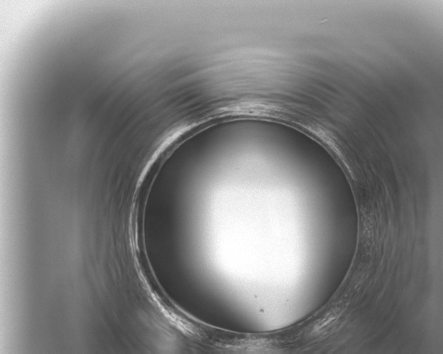 X0000059041131200510211927