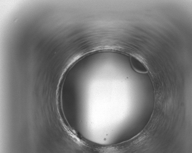 X0000059041135200510211927