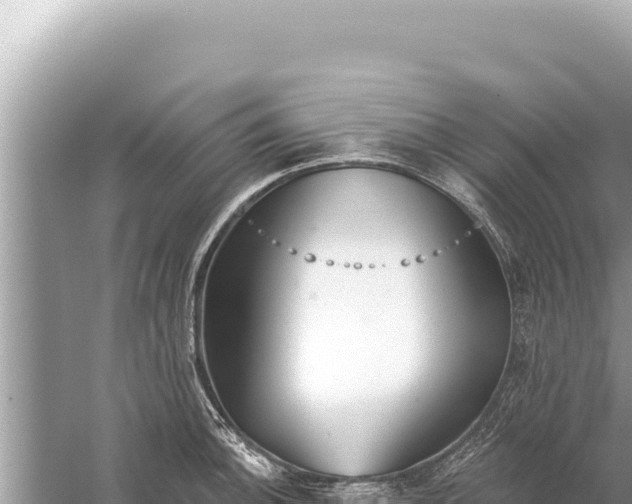 X0000059041140200510211927