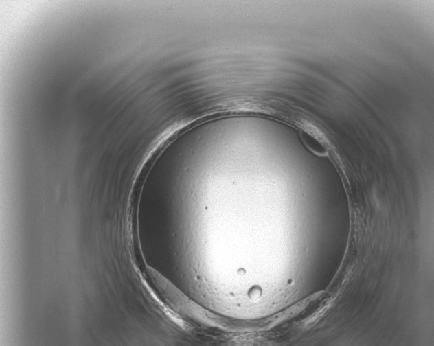 X0000059041141200510211927