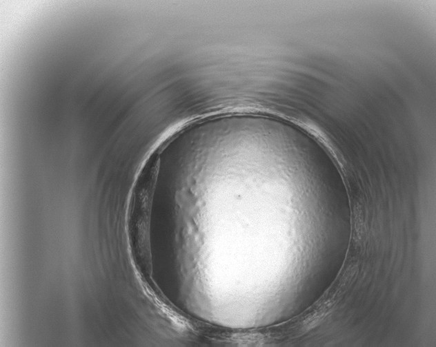 X0000059041142200510211927