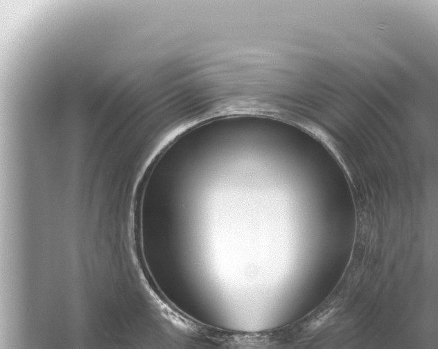 X0000059041147200510211927