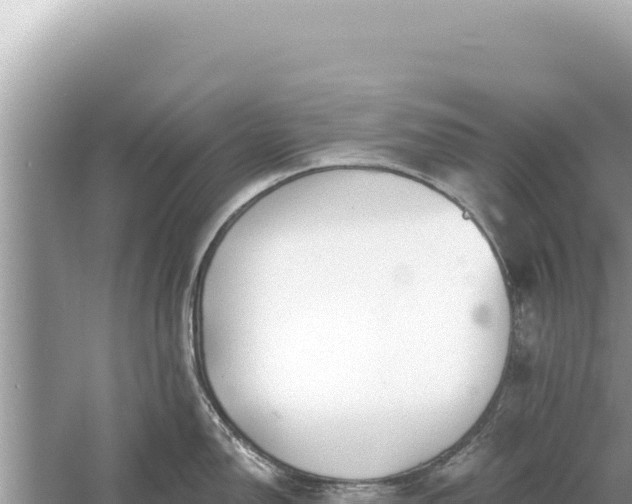 X0000059041150200510211927